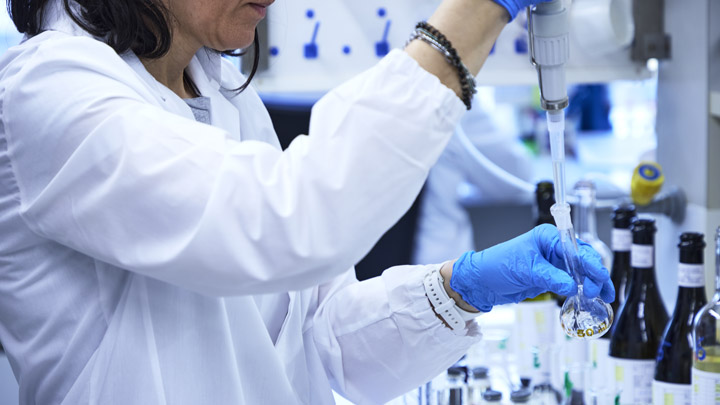 Piano di controllo analitico della produzione - immagine 1