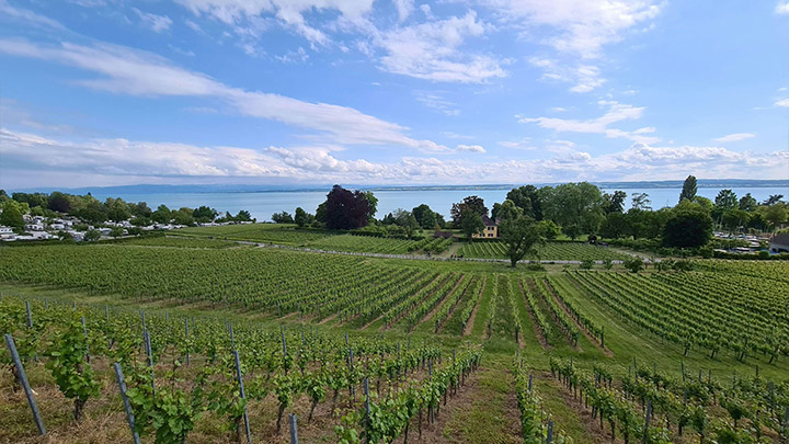 Nascita di una nuova azienda - immagine 2